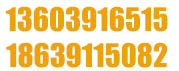 0391-3126120 13103990208